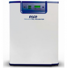 Cabinet cell culture CO2 CCL-170