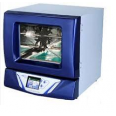 Hybrid incubator under orbital shaking MO AOR