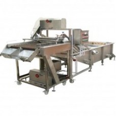 Washer result roller brush types