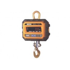 100 Kg Weigh hanging CastonI 0.1THA