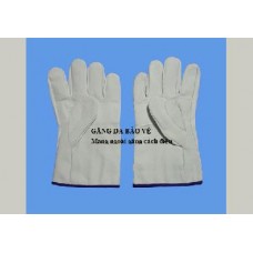 Leather gloves protect G530.1
